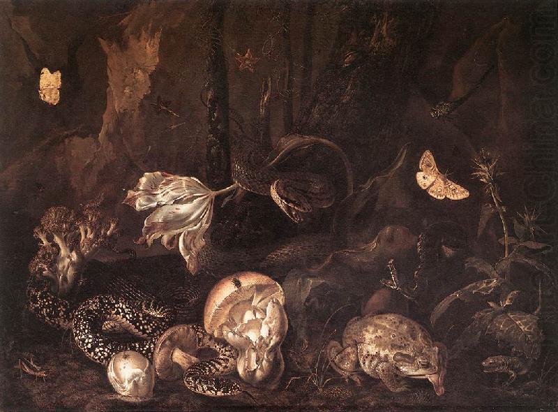 SCHRIECK, Otto Marseus van Still-Life with Insects and Amphibians ar china oil painting image